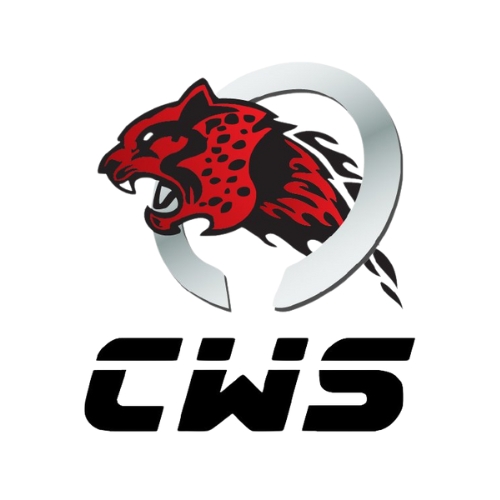 CWS LOGO
